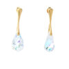Crystal Silver Earrings with Gold plating